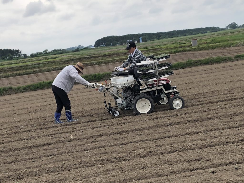 写真 2018-06-11 13 53 33